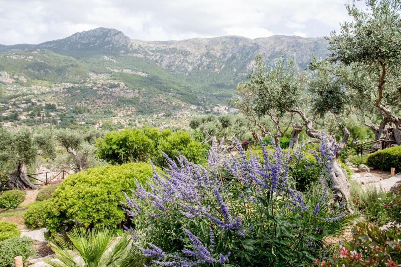 Sa Pedrissa Βίλα Deia Εξωτερικό φωτογραφία